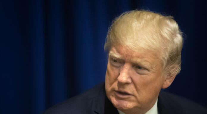 dreamstime s 100589820-696x385