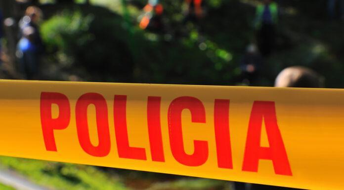 dreamstime s 27329998-696x385 (1)