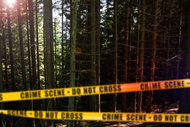 dreamstime s 170207507