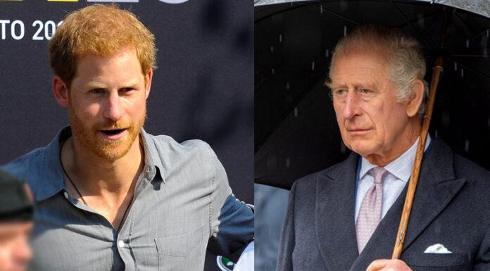 kingcharles-princeharry-px4567-696x385-1